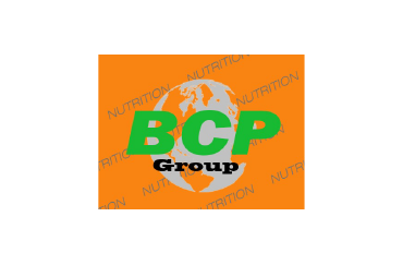 BCP Group